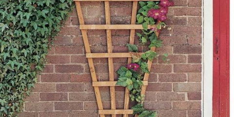 Направи си сам решетка - 110 снимки как да направите свои ръце и видео съвети за използване в ландшафтен дизайн